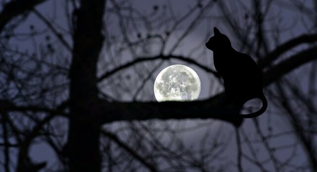 La enfermedad y superstición en la agricultura