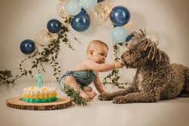 mi primer año de nacido