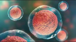 21st Century *Continued*