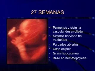 Semana 25 a 28