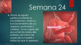 Timeline: DESARROLLO PRENATAL