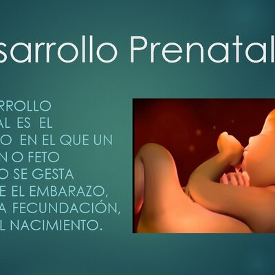 Timeline: DESARROLLO PRENATAL