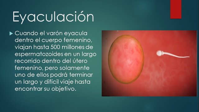 EYACULACIÓN
