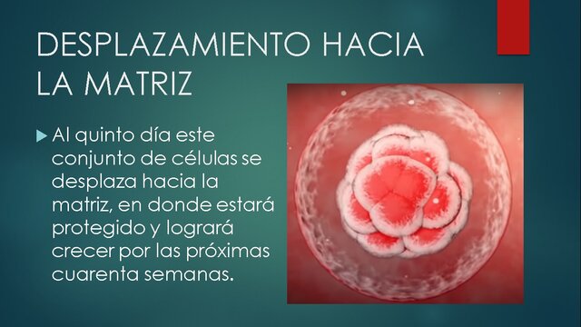 DESPLAZAMIENTO HACIA LA MATRIZ