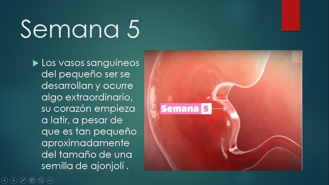 SEMANA 5