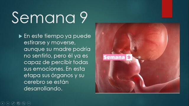 SEMANA 9