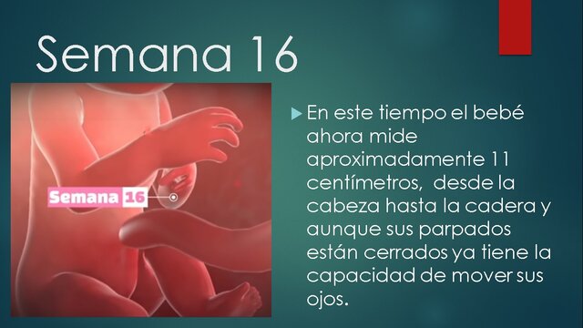 SEMANA 16