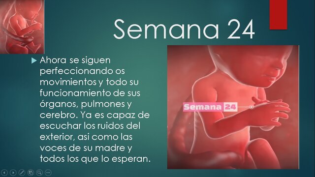 SEMANA 24
