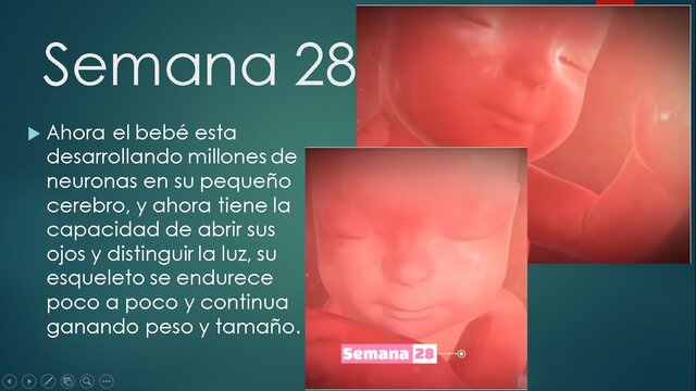 SEMANA 28
