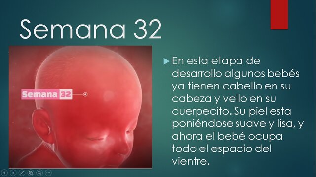 SEMANA 32