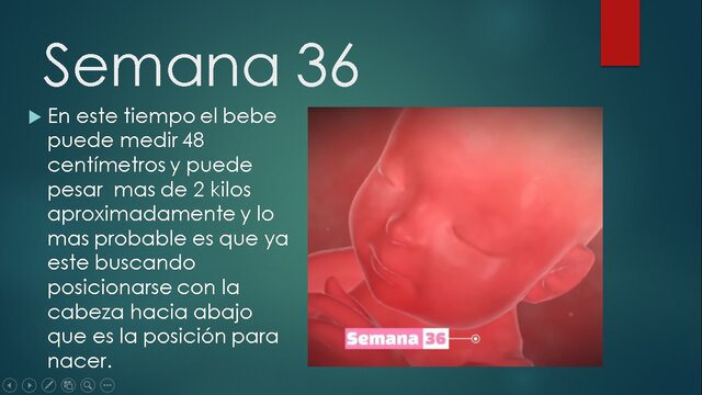 SEMANA 36