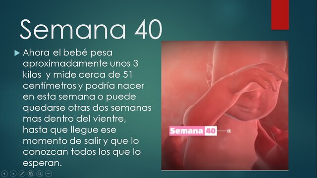 SEMANA 40