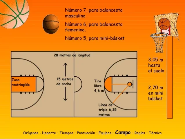 Primera Modificación del Reglamento