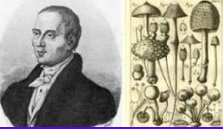 MICHELLI- INVESTIGACIÓN POR EXPERIMENTO- 1.729