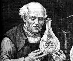 Paracelso (siglo XVI)