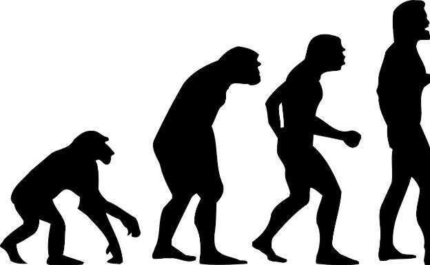 Teoría de la Evolución de Darwin.