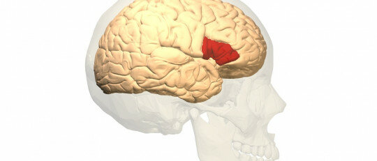 Área de Broca