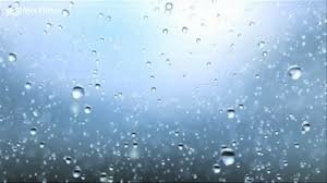 Most precipitation in a year for a single area NC record