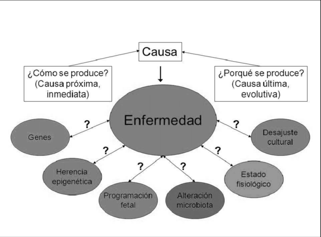 Otras Nociones de Causas
