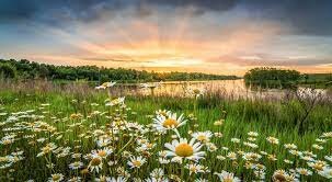 Incorporación de la gestación ambiental