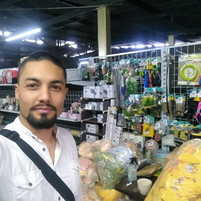 Timeline: Microsoft Windows