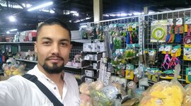 Timeline: Microsoft Windows