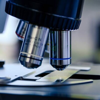 Timeline: Microscopio Óptico