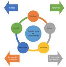 TRANSFERENCIA DE CONOCIMIENTO   DENTRO LA ORGANIZACION