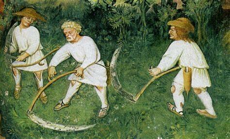 Edad media en europa