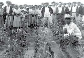 La Ley de Ejidos. México