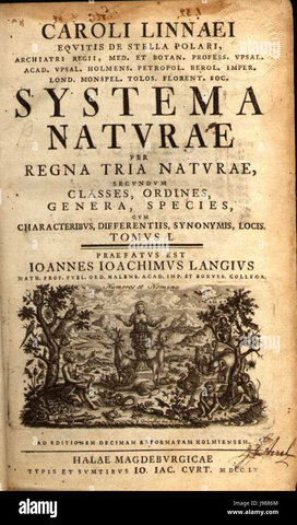 Linneo (Systema Naturae)