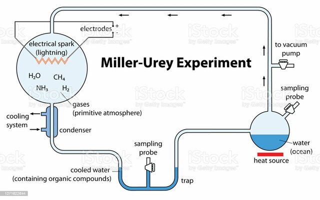 Experimento de la tierra primitiva de Miller y Urey