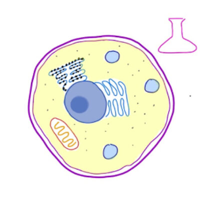 Timeline: Development and Discovery of Cell Theory