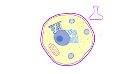 Timeline: Development and Discovery of Cell Theory
