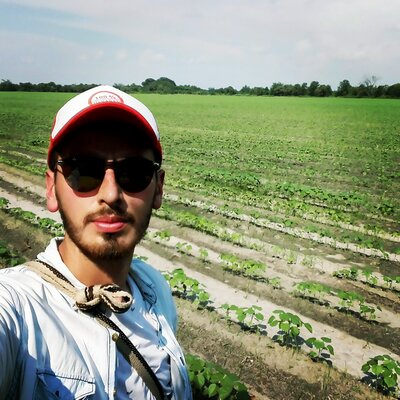 Timeline: causa y enfermedad: paralelismo entre la Medicina y la Fitopatología