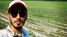 Timeline: causa y enfermedad: paralelismo entre la Medicina y la Fitopatología