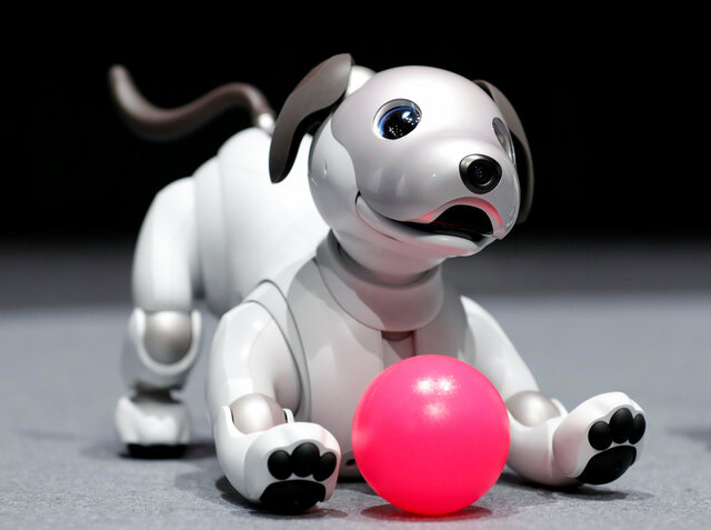 Perro robot aibo