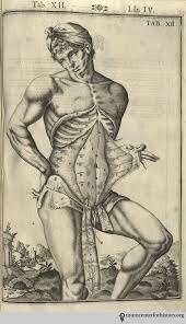 16th and 17th Centuries