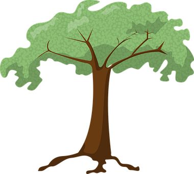 "El Consejo de Calidad Medioambiental de Estados Unidos"