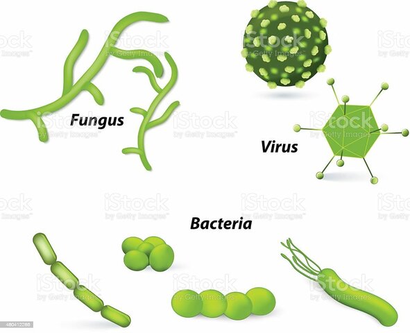 LA TEORÍA MICROBIANA SIN PASTEUR Y KOCH