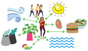 OTRAS NOCIONES DE CAUSAS