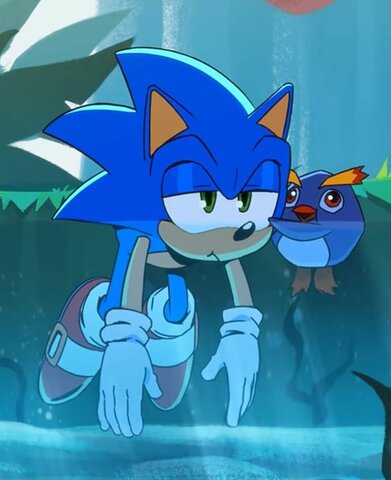 Sonic the Hedgehog Chaos