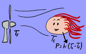 Ley de convección térmica