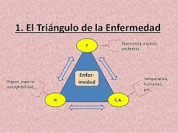Taxonomía de las enfermedades
