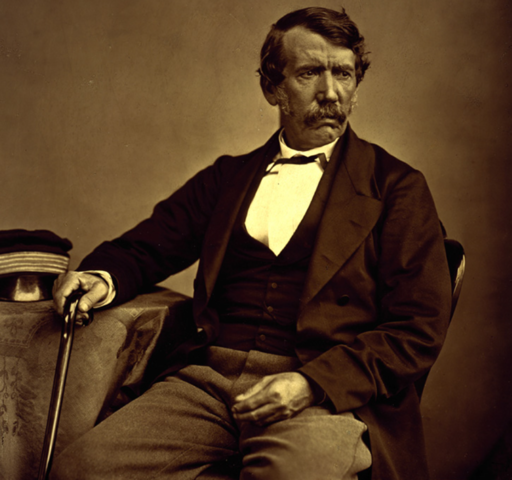 David Livingstone born