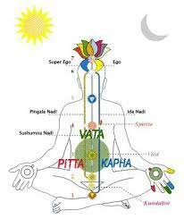 Medicina ayurvédica