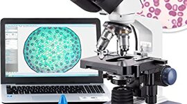 Timeline: Línea del tiempo: MICROSCOPIO