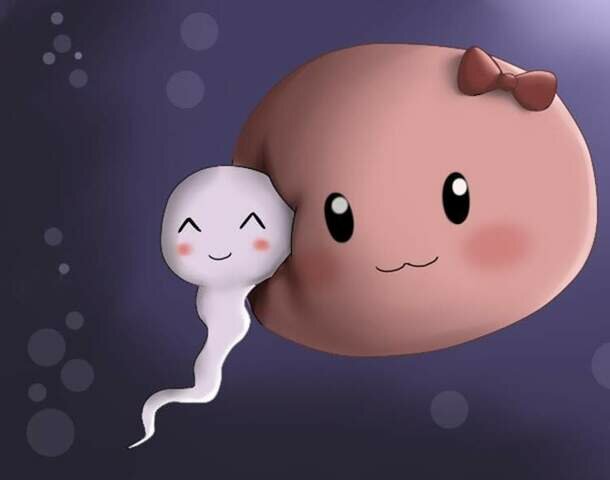 Interacción celular