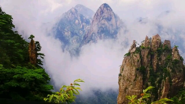 Japón ubicacion de Familia Jurídica