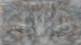 Timeline: A rede neural vê gatos